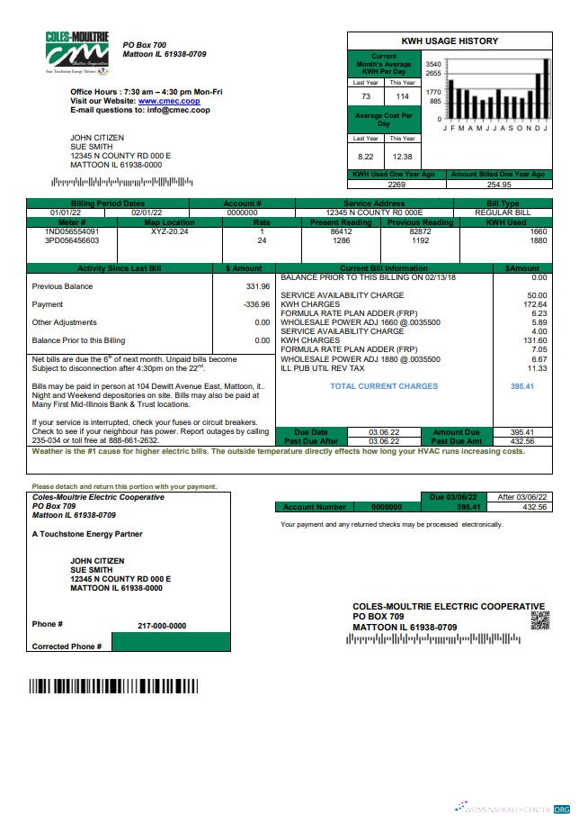 download download USA Coles – Moultrie utility bill template in Word and PDF format PDF template PDF template